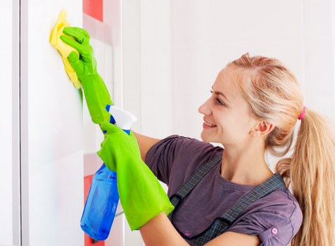 Professional stain removal for carpets in a Notting Hill home