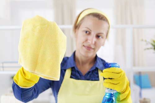 Professional sofa cleaning service in a Notting Hill living room