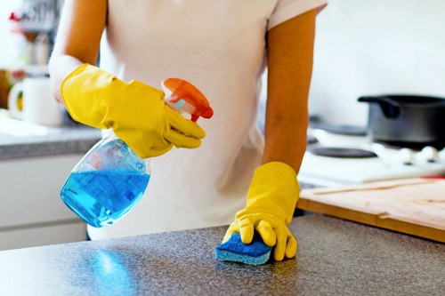 Customer making a secure online payment for carpet cleaning services