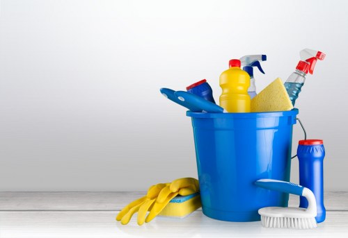 Professional carpet cleaning complaint discussion and assessment