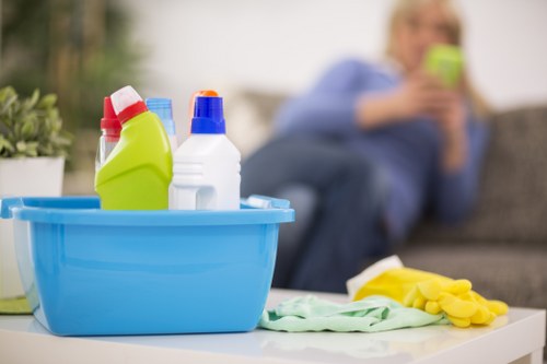 Regular domestic cleaning for a busy West London household