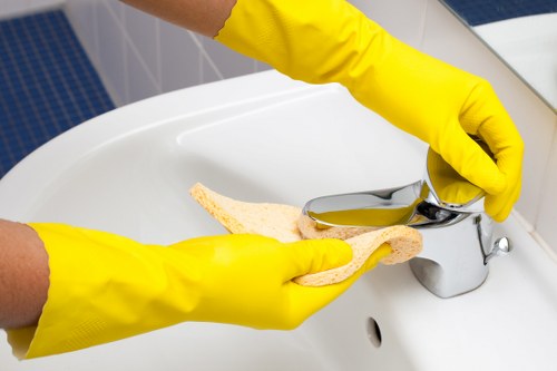 Deep cleaning equipment used for pet odour removal in a local home